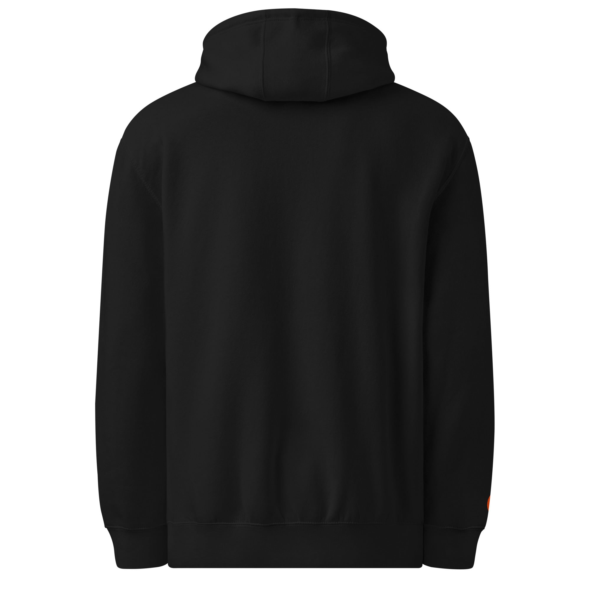 Alternative view of Carpe Hoodie